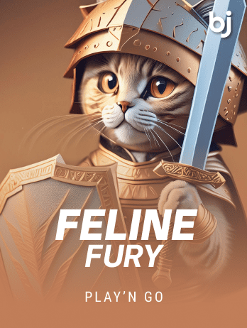 Feline Fury